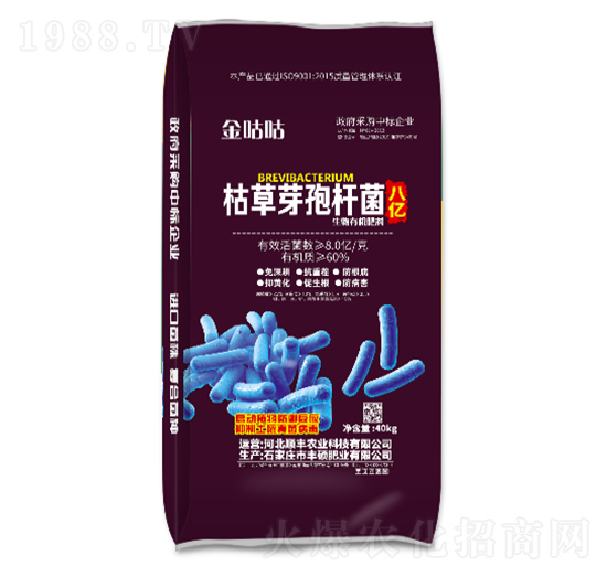 ݲѿߗUЙC-𹾹-SrI(y)