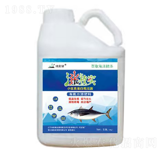 С~(y)בҝҺ-q֦(sh)-؏(f)