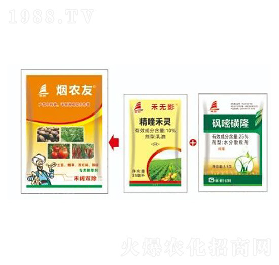 ~tsݽQ-r(nng)-ϲS