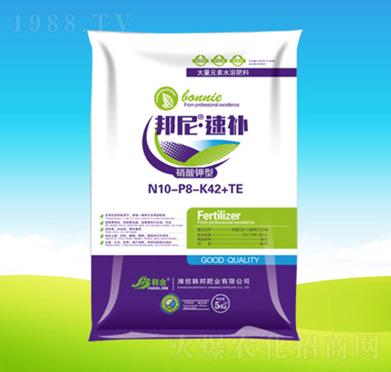 N10-P8-K42+TE-ᡤa-nʘI(y)