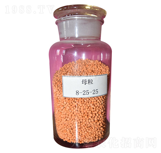 ĸw8-25-25-ʩѷʘI(y)