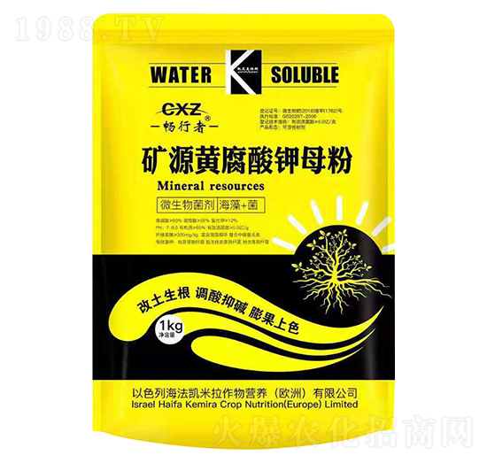 VԴSԭ--r(nng)ʘI(y)