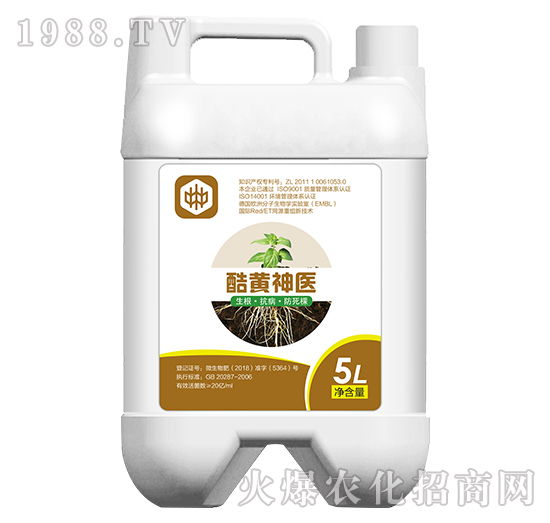 St(y)ã-ֲ(lin)