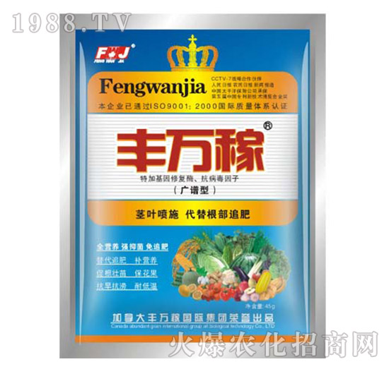 VV͠IB(yng)ҺB(ti)ͺ{(ji)-Sf