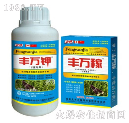 ጣøЧI(yng)B(yng)ҺB(ti){(dio)(ji)-Sf