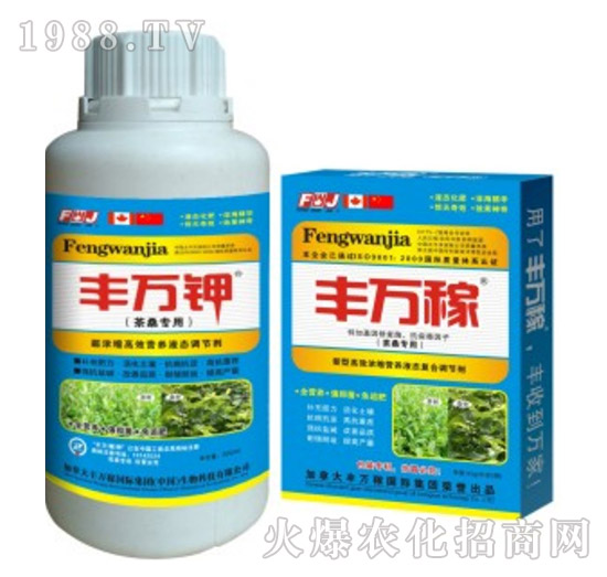 ɣøЧI(yng)B(yng)ҺB(ti){(dio)(ji)-Sf