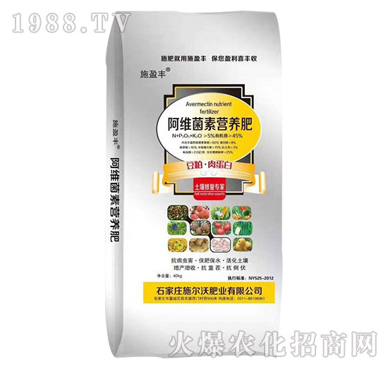 SI(yng)B(yng)-ʩַʘI(y)