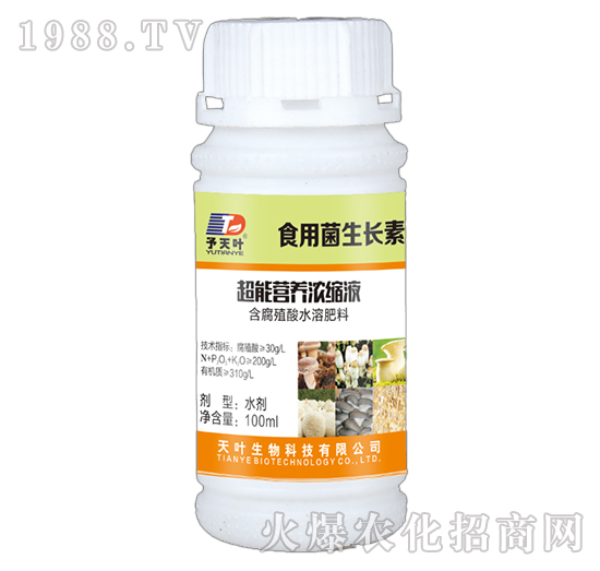 ܠIB(yng)sҺ-ʳþL-~