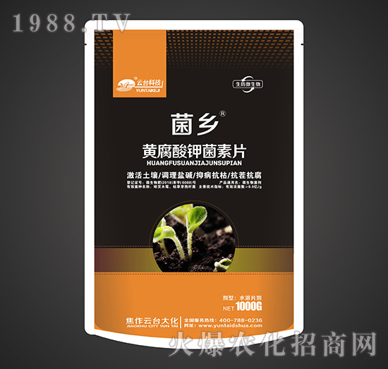 S⛾Ƭ-l(xing)-_(ti)