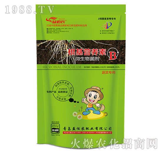 ߲ˌ΢-IB(yng)B-r(nng)