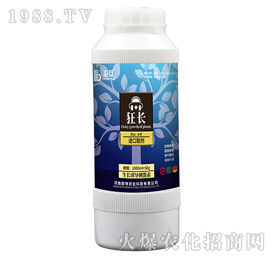 LT(do)-L-Wr(nng)I(y)