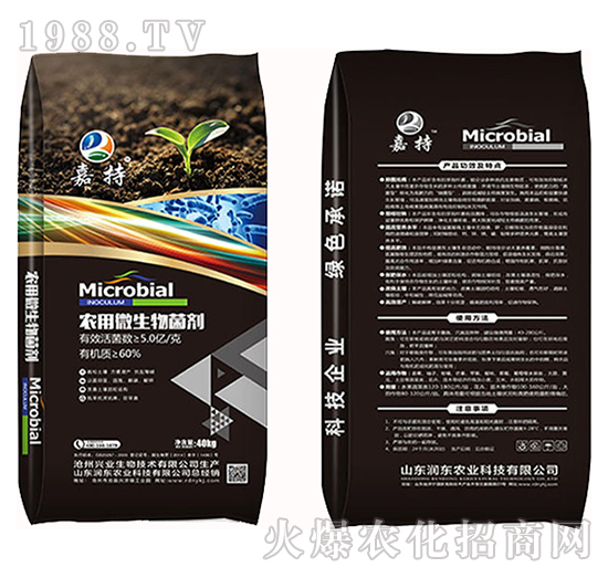 r(nng)΢-γ-|r(nng)I(y)