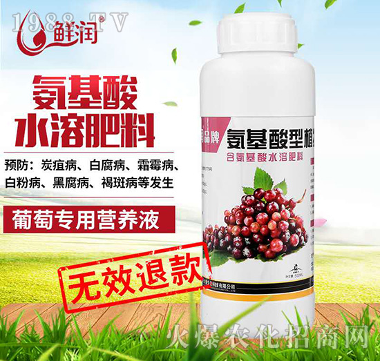 ь(zhun)-r(rn)ƷưֲI(yng)B(yng)Һ-r(nng)