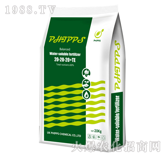 ӢM(jn)ڷ˹ƽ-r(nng)S