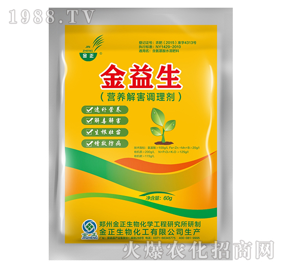 IB(yng)⺦{(dio)턩--