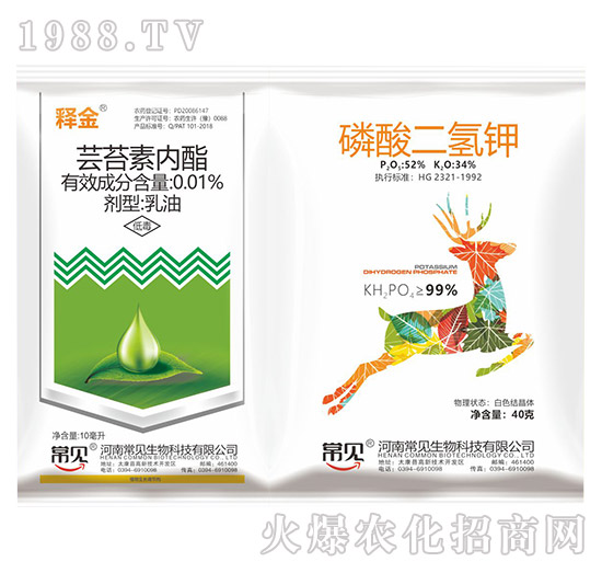 |̦؃(ni)+-ጽ-Ҋ(jin)