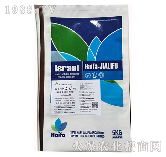 ͏(f)Ϸ13-6-40+TE-1̖(ho)-