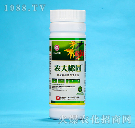 ͝sҺB(ti)I(yng)B(yng)-r(nng)ڈ@