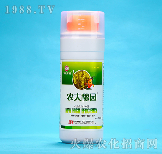 СIB(yng)N-r(nng)ڈ@