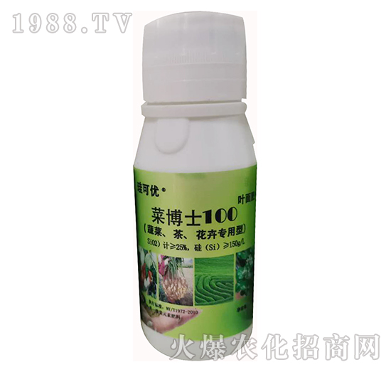 ˲ʿ100߲܌ã-Ƀ(yu)-Ɔ