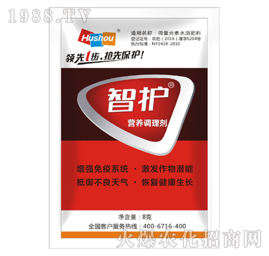 I(yng)B(yng){(dio)턩-o(h)-o(h)