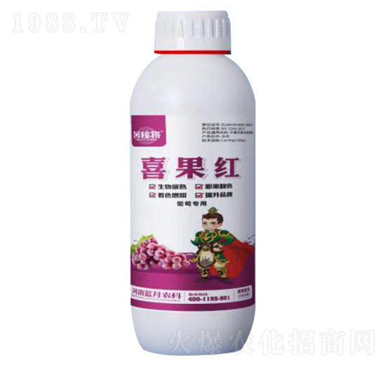 1000ьϲt-ڌ-{(ln)r(nng)