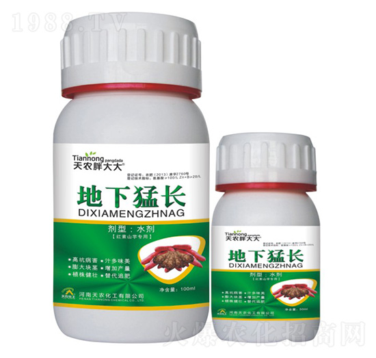 tɽ(zhun)õL(zhng)-r(nng)ִ-r(nng)