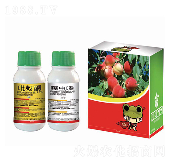 25%ͪ+30x-(1+1)-r(nng)ˎ