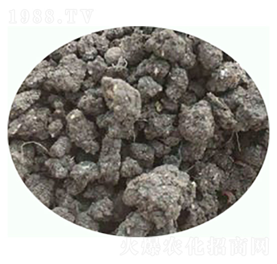 l(f)uSЙC(j)-|ʘI(y)