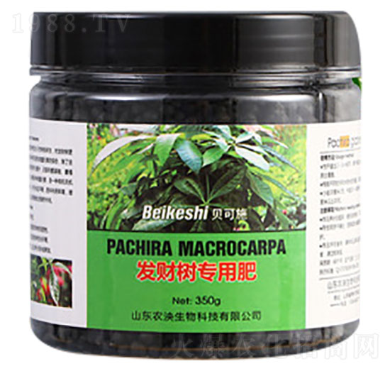 l(f)ؔ䌣÷-ؐʩ-r(nng)