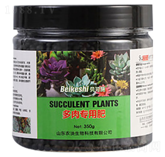 ⌣(zhun)÷-ؐʩ-r(nng)