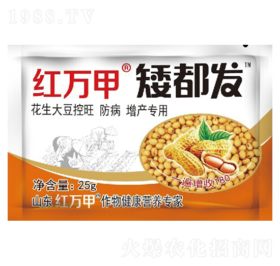 l(f)-󶹌(zhun)-tf(wn)