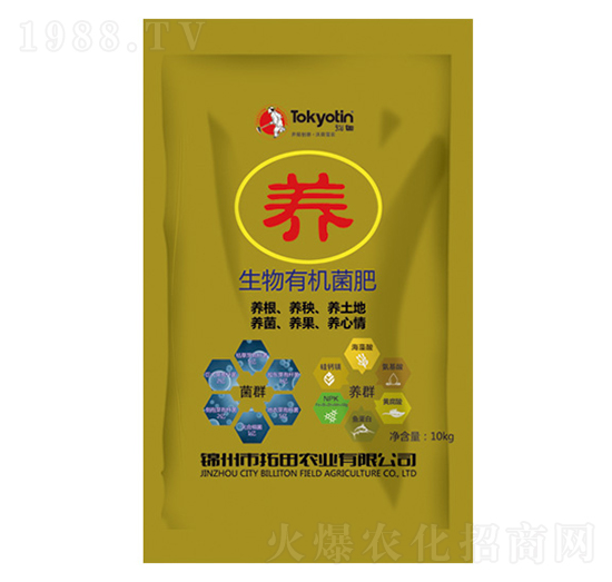 ЙC(j)-B(yng)-r(nng)I(y)