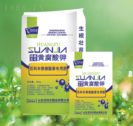 B(yng)(zhun)÷-S-ٿS