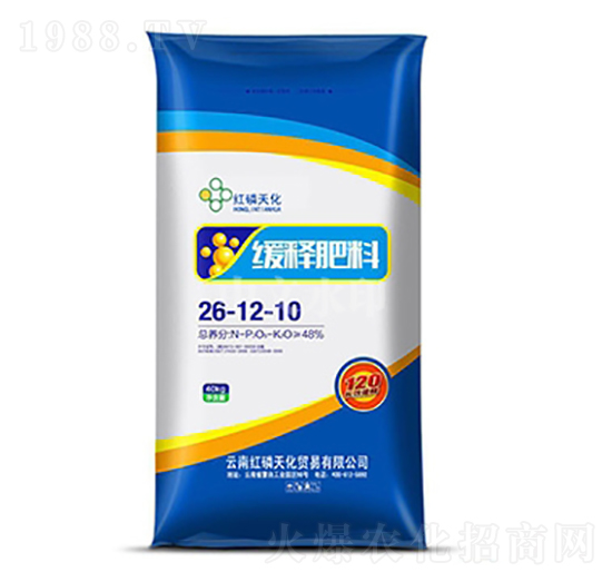 ጷ26-12-10-t컯-r(nng)