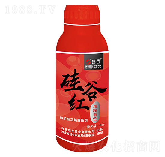 ЙCɫҺwʣƿ-ȷʘI(y)