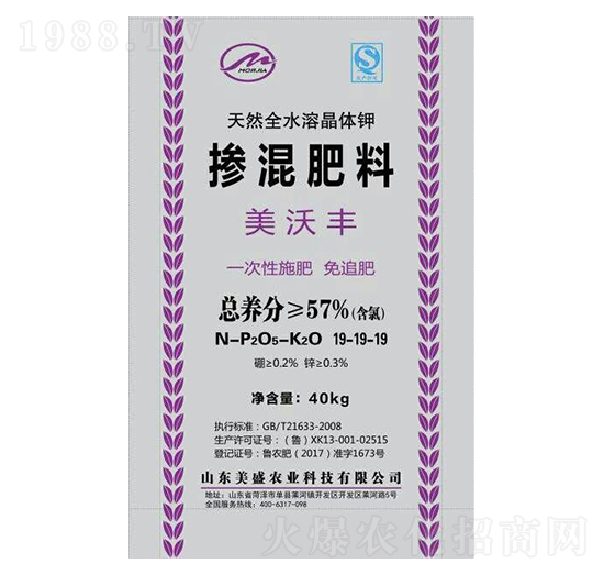 19-19-19-ʢr(nng)I(y)