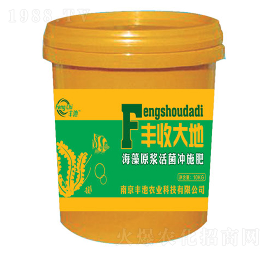 ԭ{_ʩ-Sմ-Sr(nng)I(y)