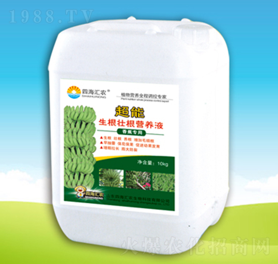 㽶óѸIB(yng)Һ-ĺRr(nng)