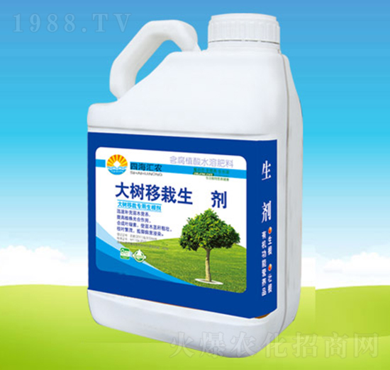 (sh)L(zhng)-ĺRr(nng)