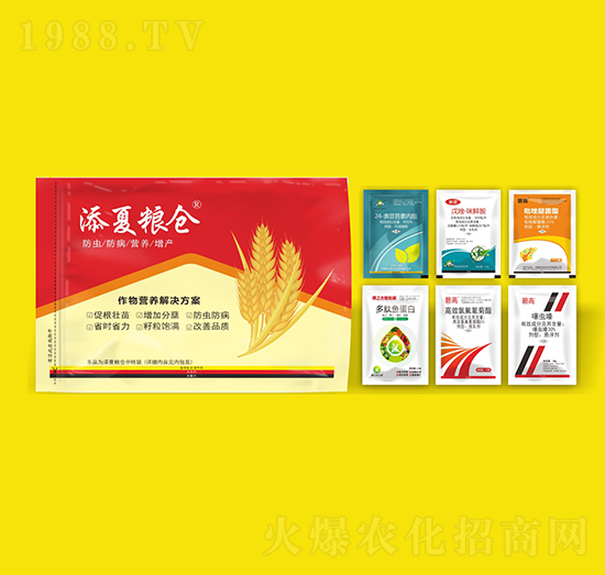 I(yng)B(yng)Q-ļZ}(cng)-S՘