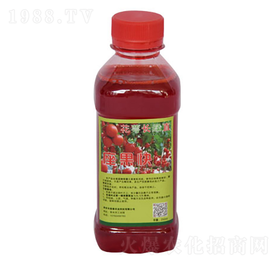 L(zhng)Gֱ-r(nng)I(y)