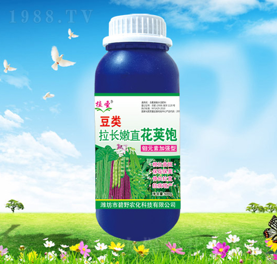 (li)L(zhng)ֱv-ֲʥ-Ұr(nng)