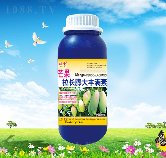 âL(zhng)SM-ֲʥ-Ұr(nng)