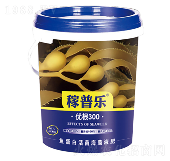 (yu)300-՘(l)-(rn)ɷʘI(y)