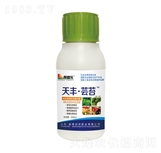 S|̦-՘-(rn)ɷʘI(y)