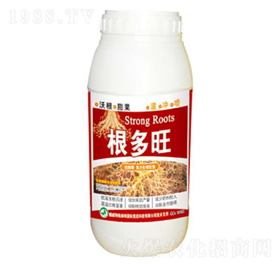 ~-՘(l)-(rn)ɷʘI(y)