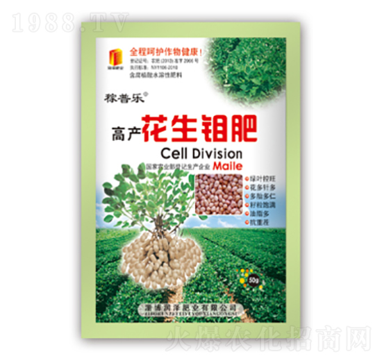 ߮a(chn)f-՘-ɷʘI(y)