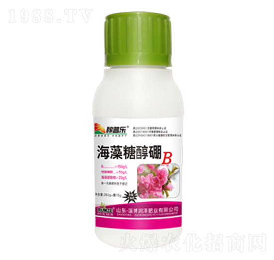 Ǵ-՘(l)-(rn)ɷʘI(y)