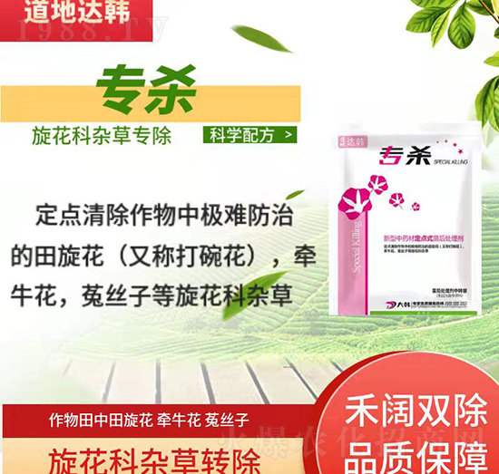 ˎĶc(din)ʽ̎턩-(zhun)-n